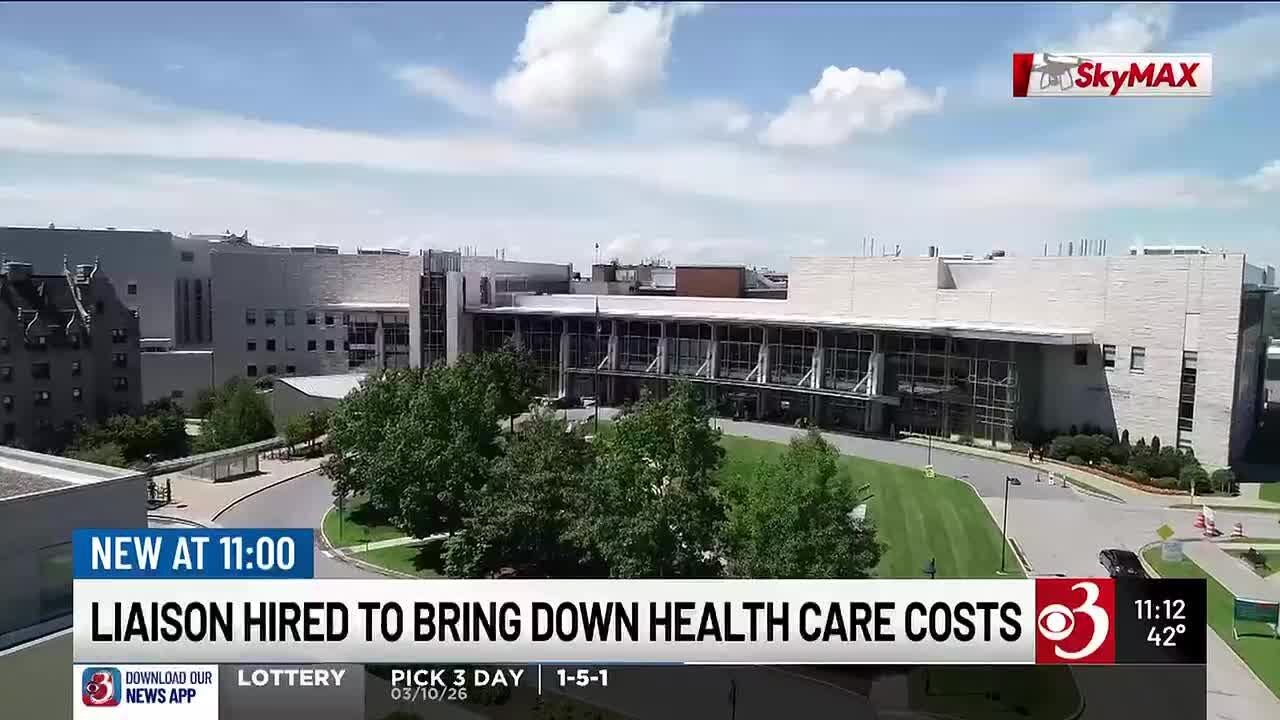 Liaison appointed by state to consolidate health care spending