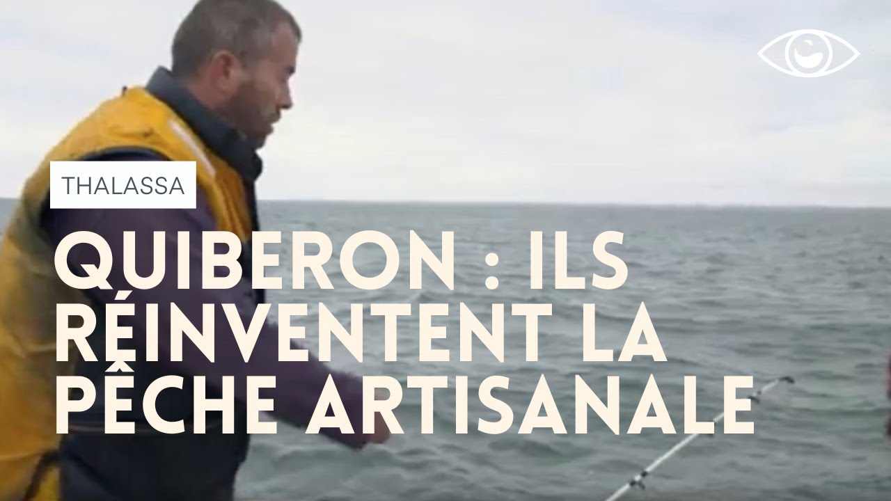 Quiberon : la pêche artisanale revient en force - Thalassa