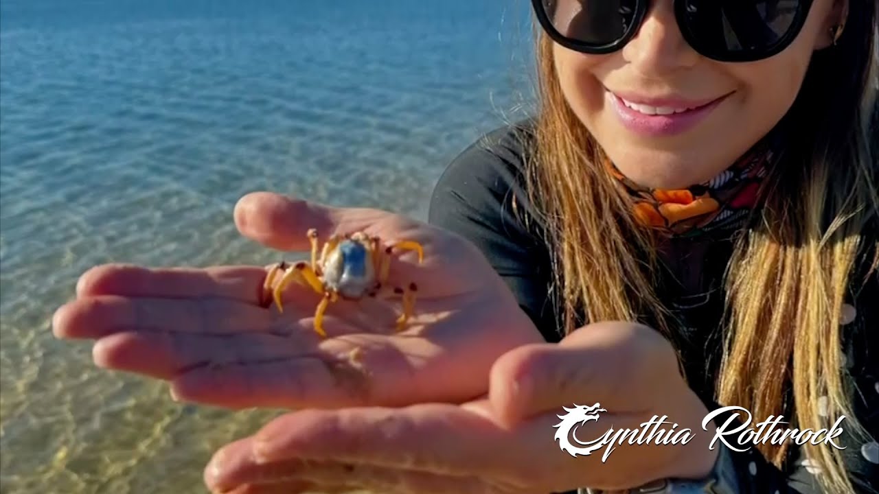 Cynthia Rothrock - Australian Soldier Crabs