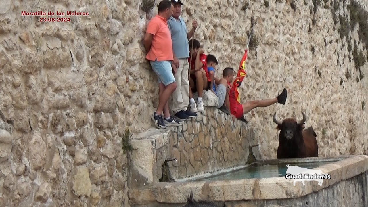 Peligro y Miedo en la Fuente.Moratilla de los Meleros 23 - 08 - 2024 GuadaEncierros