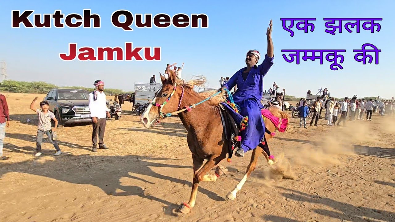 Kutch Queen Jamku | बड़ी रेवाल | सुल्तान शाह उर्स मुबारक के मौके पर घोड़ों की रेस 2025