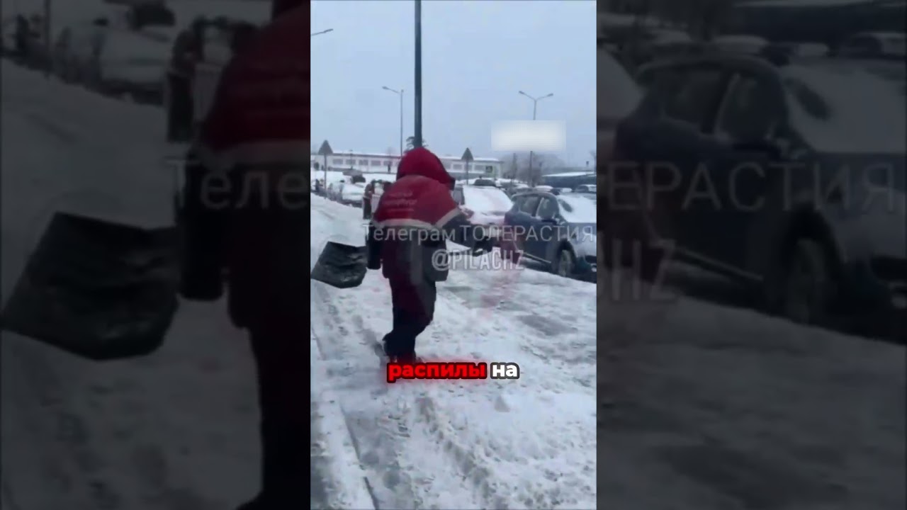 Кому выгодно, чтобы страна утонула в снегу? Схемы и распилы!