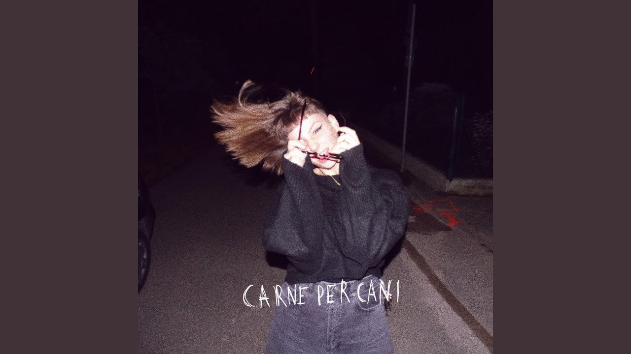 carne per cani
