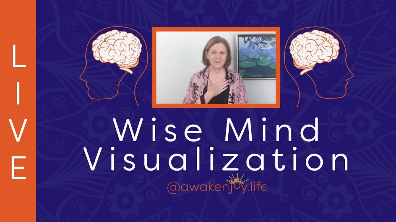 Wise Mind Visualization