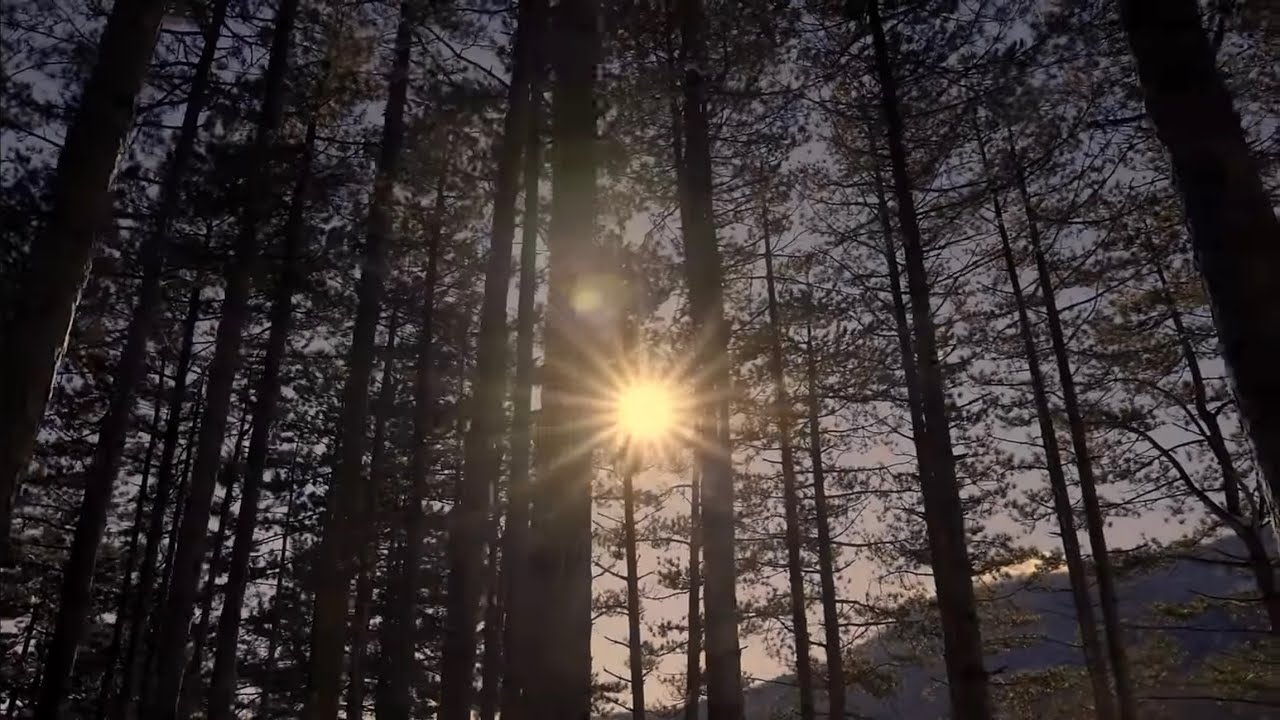 Petrit Çarkaxhiu - RA NI FJOLLË N'SYNIN TEM