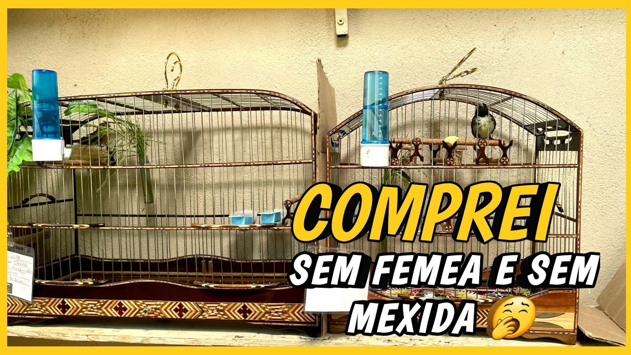 mexida 