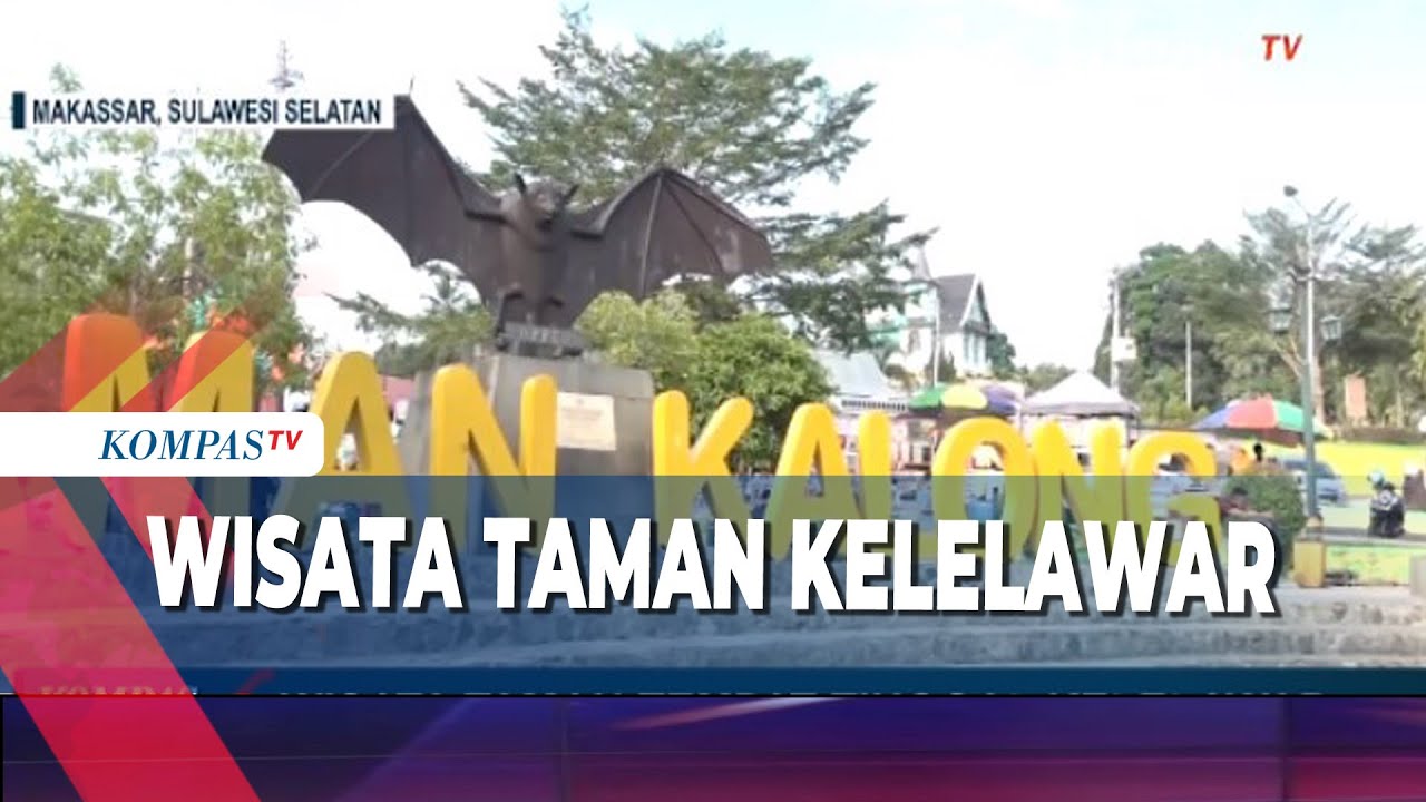 Wisata Taman Kalong Soppeng    |    Cerita Nusantara