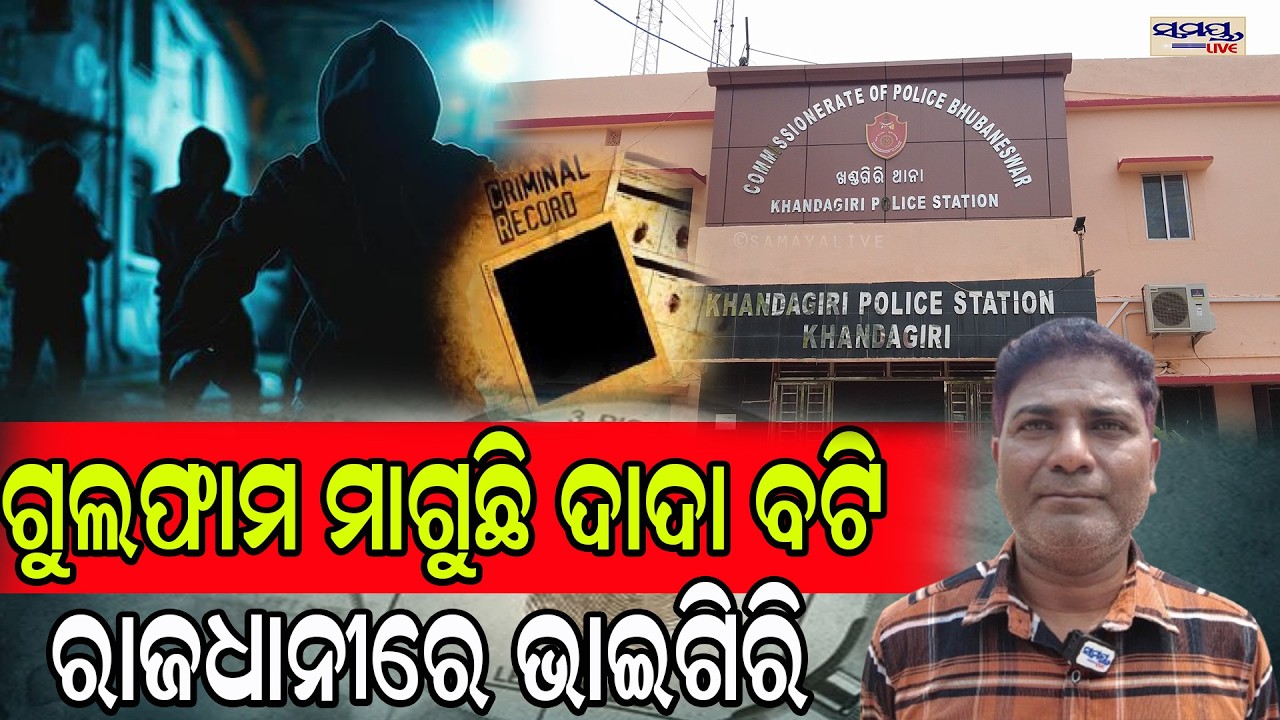 ଗୁଲଫାମ ମାଗୁଛି ଦାଦା ବଟି,ରାଜଧାନୀରେ ଭାଇଗିରି  | Latest Odia News | Samayalive