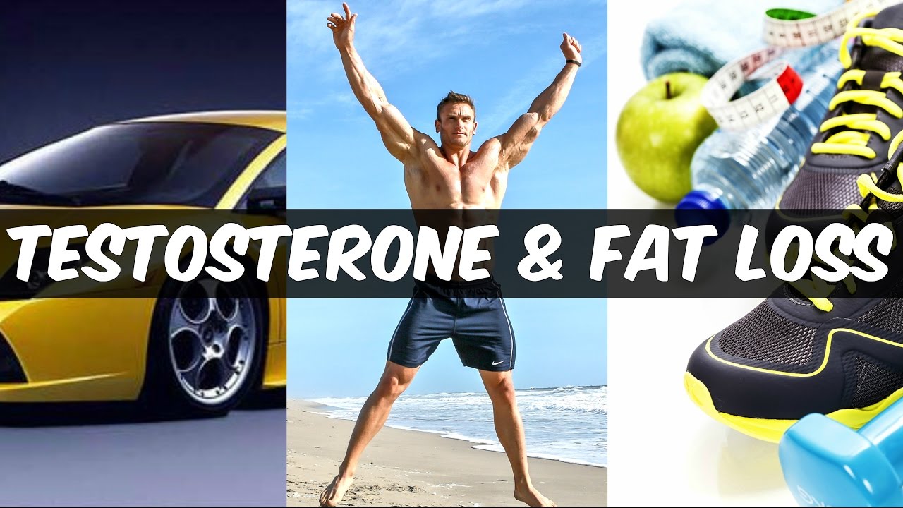 How Testosterone Affects Fat Loss: Real Science of Low-T | Thomas DeLauer