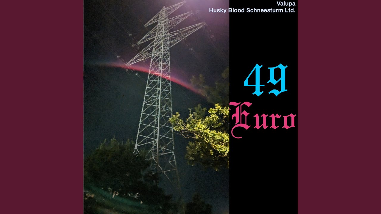 49 Euro