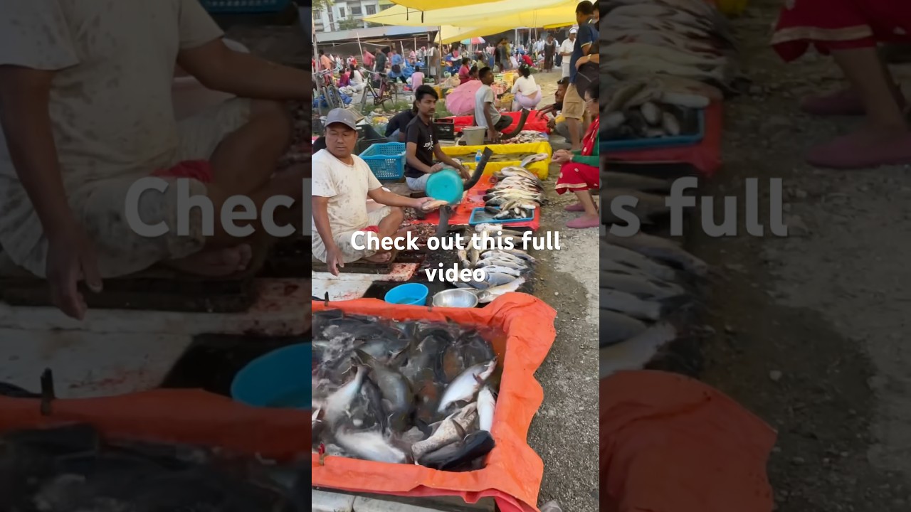FISH MARKET IN NEPAL 🐟🇳🇵#shorts #fishmarket #nambindb