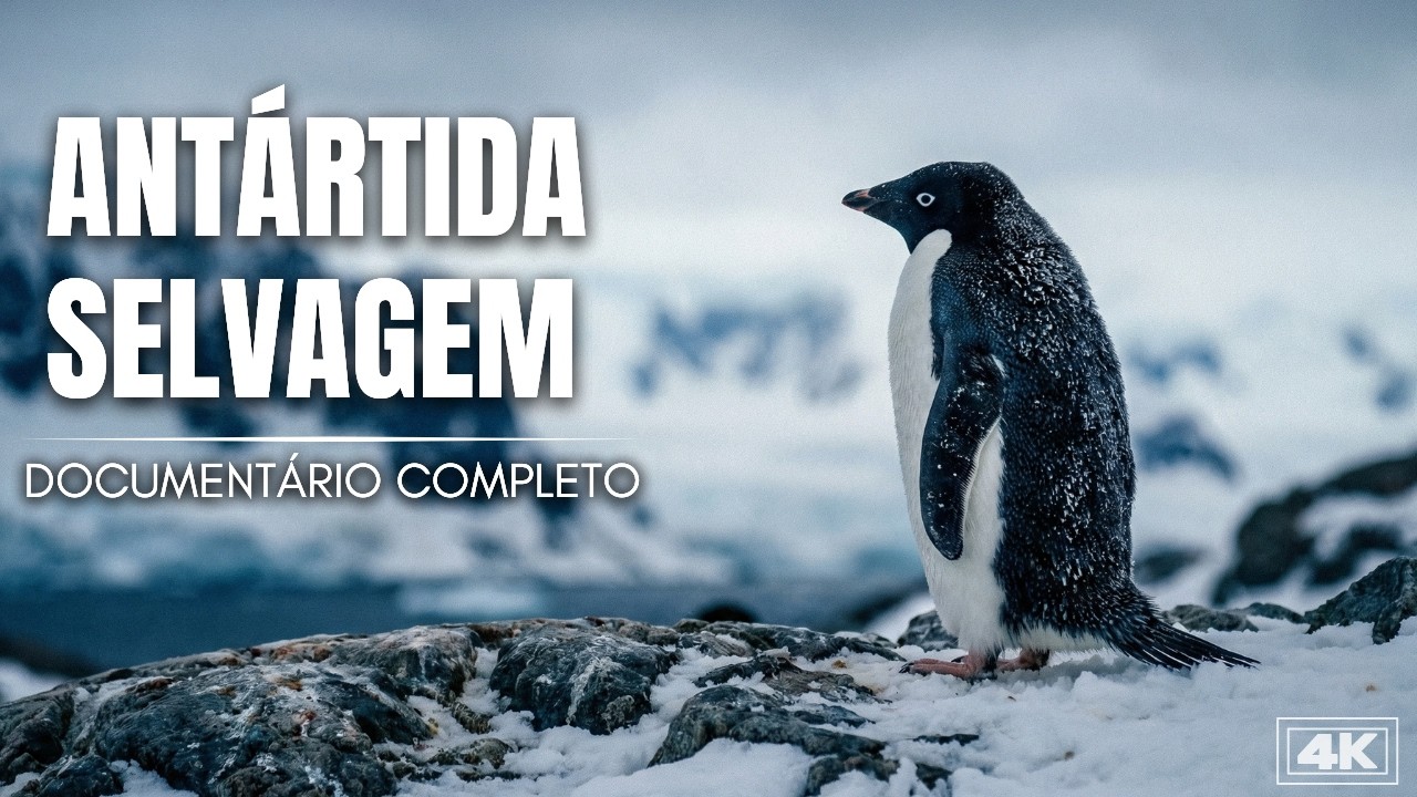 ANTÁRTIDA SELVAGEM | A VIDA SECRETA DOS PINGUINS NO GELO ETERNO | Documentário Completo