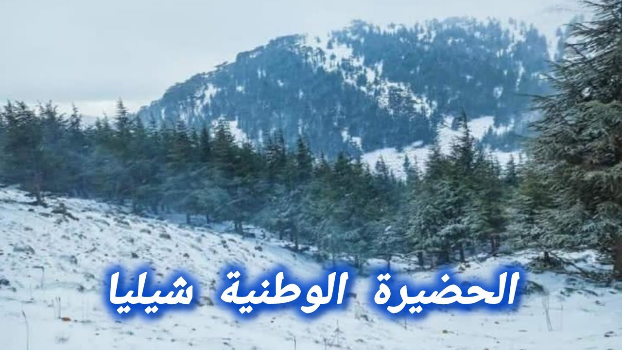 الثلوج تغطي الحضيرة الوطنية بجبال الاوراس شبليا الجزائر