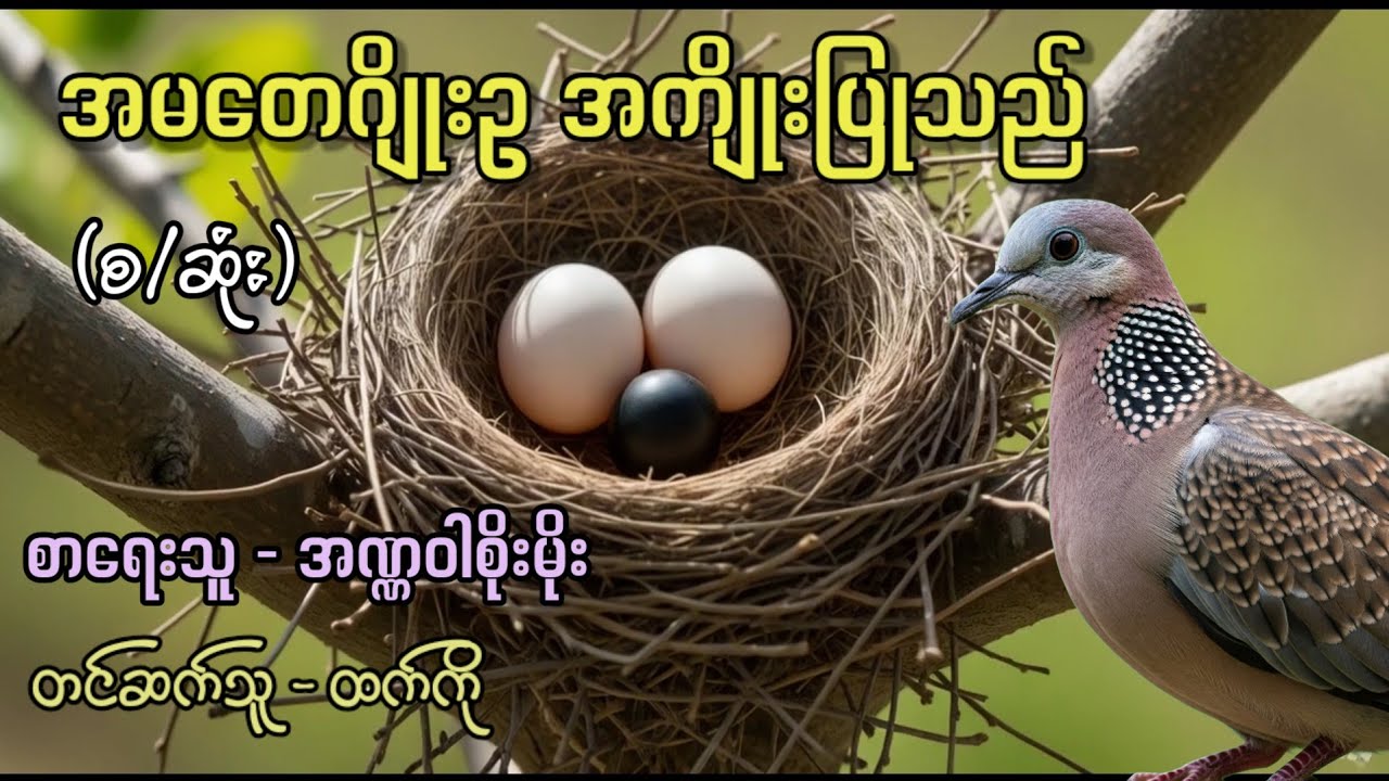 အမတေဂျိုးဥ အကျိုးပြုသည် (စ/ဆုံး) / စာရေးသူ - အဏ္ဏဝါစိုးမိုး / တင်ဆက်သူ - ထက်ကို