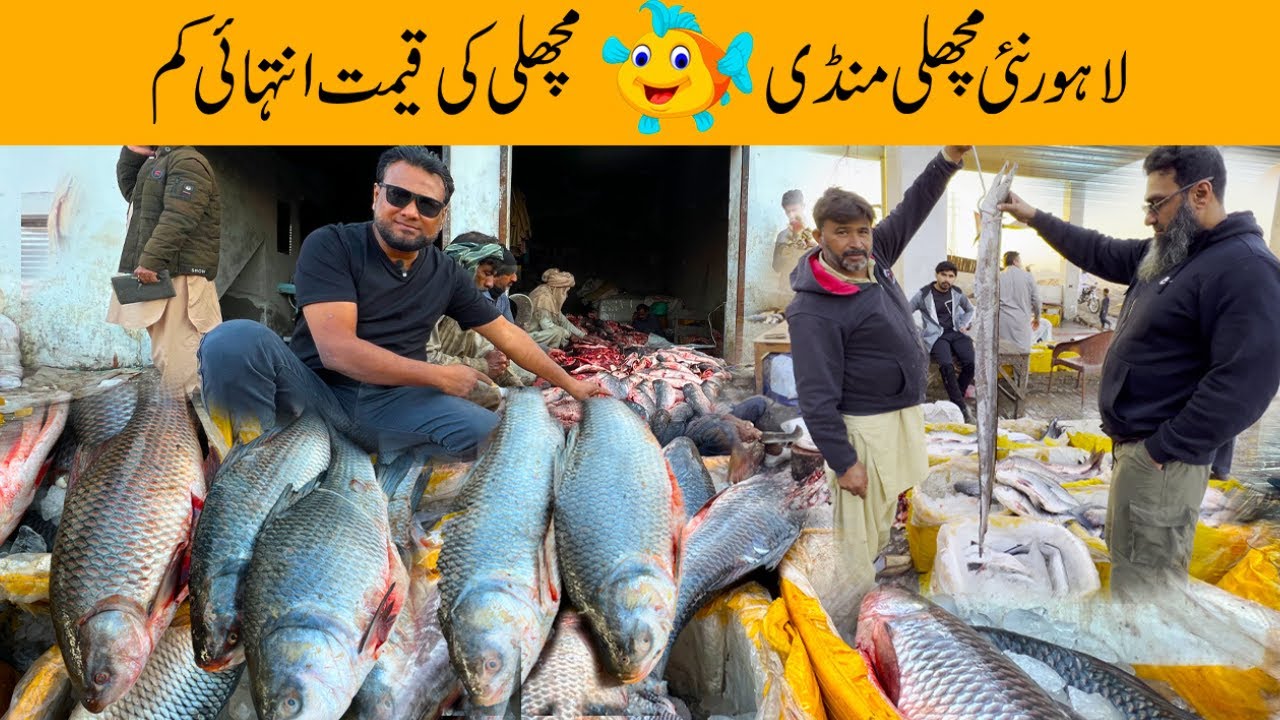 New Fish Market Lahore | Machli Mandi Lahore | Cheapest Fish In Lahore | Latest Fish Rates | #fish