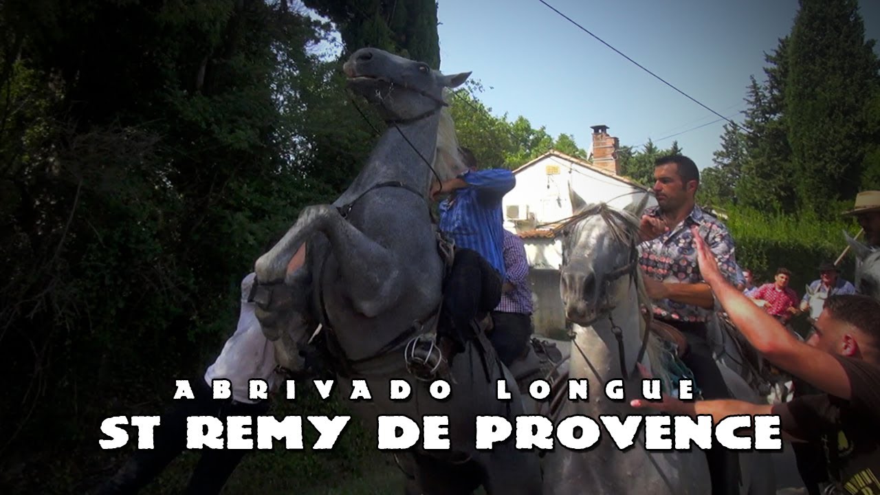 ST REMY DE PROVENCE Abrivado Longue 14-08-2021 🐴