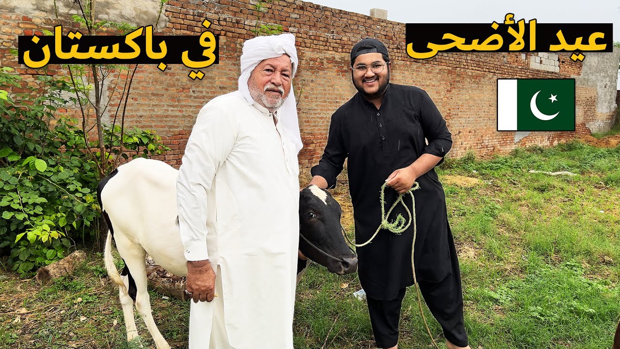 أجواء عيد الأضحى في باكستان | Eid in Pakistan 🇵🇰