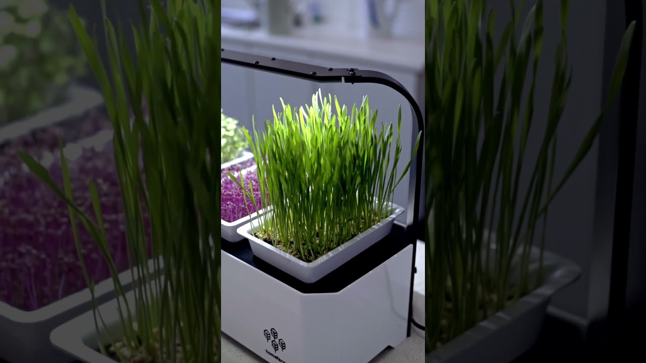 Homefarm Nano Reel