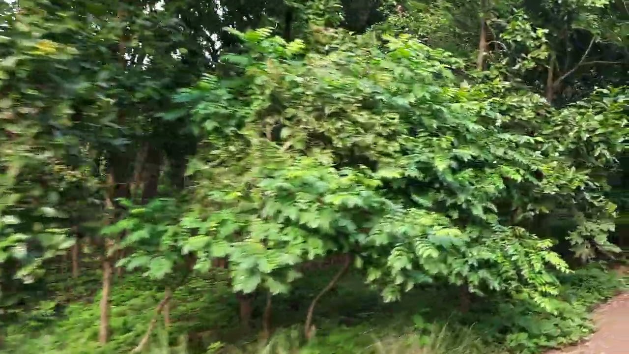 माला से संदेही तक की यात्रा के दौरान कैसा अनुभव हुआ और वहाँ क्या-क्या आकर्षक चीजें देखी गईं? 🚂🗺️👀  