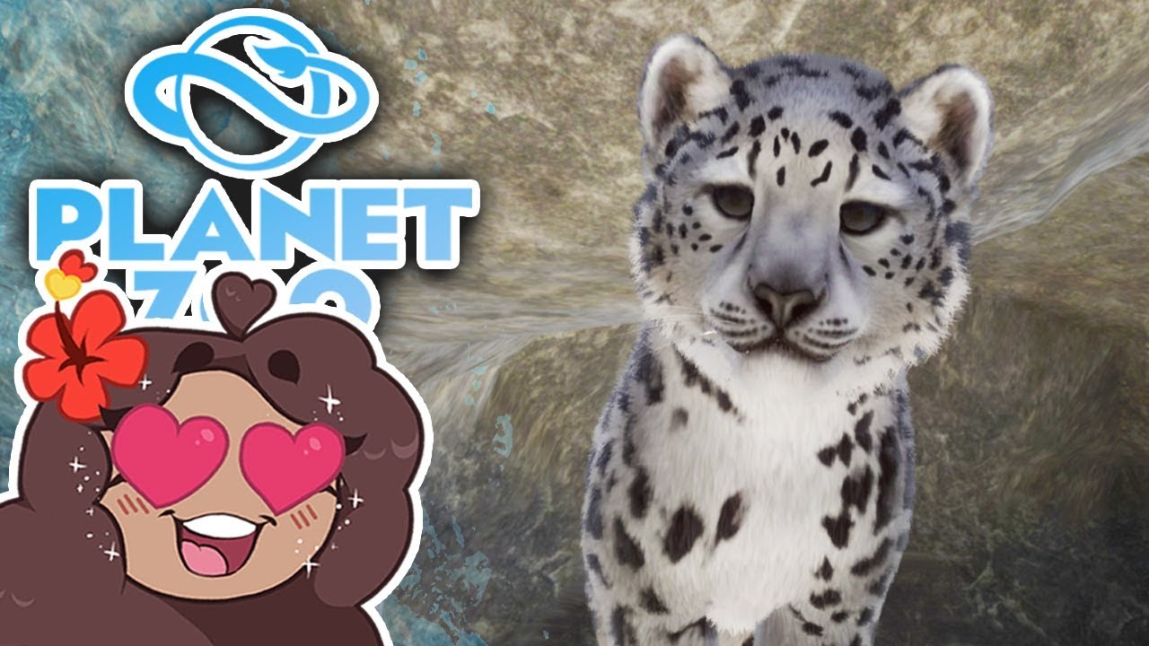 Рождение детёнышей СНЕЖНОГО БАРСА!! 🐏 Planet Zoo: Ice Ice Outpost • #25