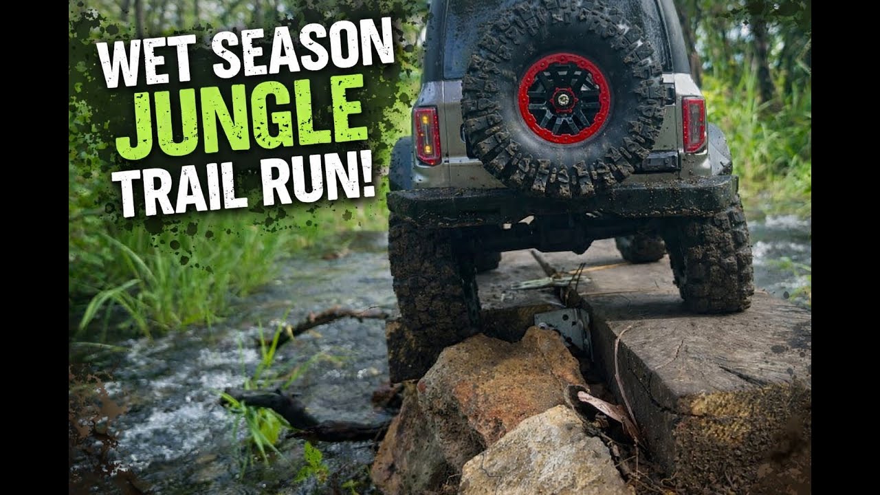 Sunday Jungle Crawl!