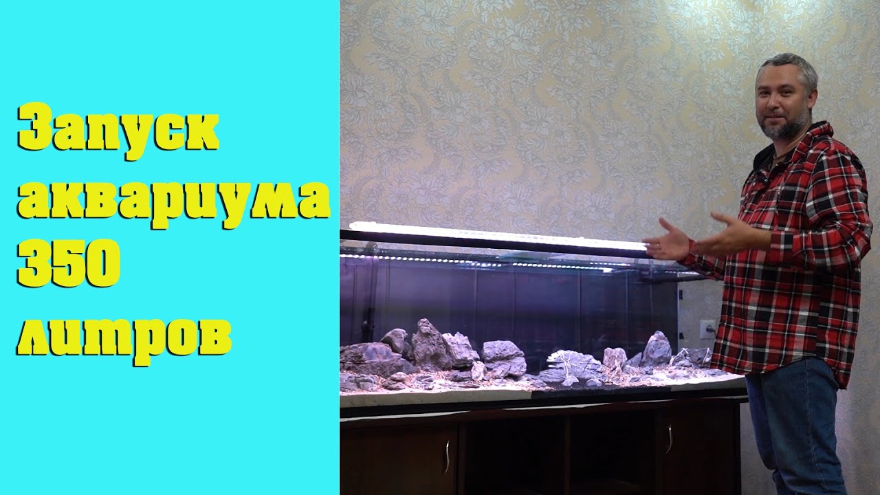 Запуск скейпа на 350л Горный массив. Часть 1 - Хардскейп