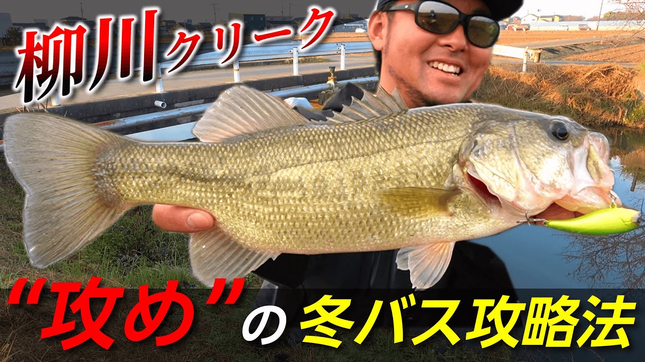 低水温期の柳川クリークはヒット連発の楽園だった！！