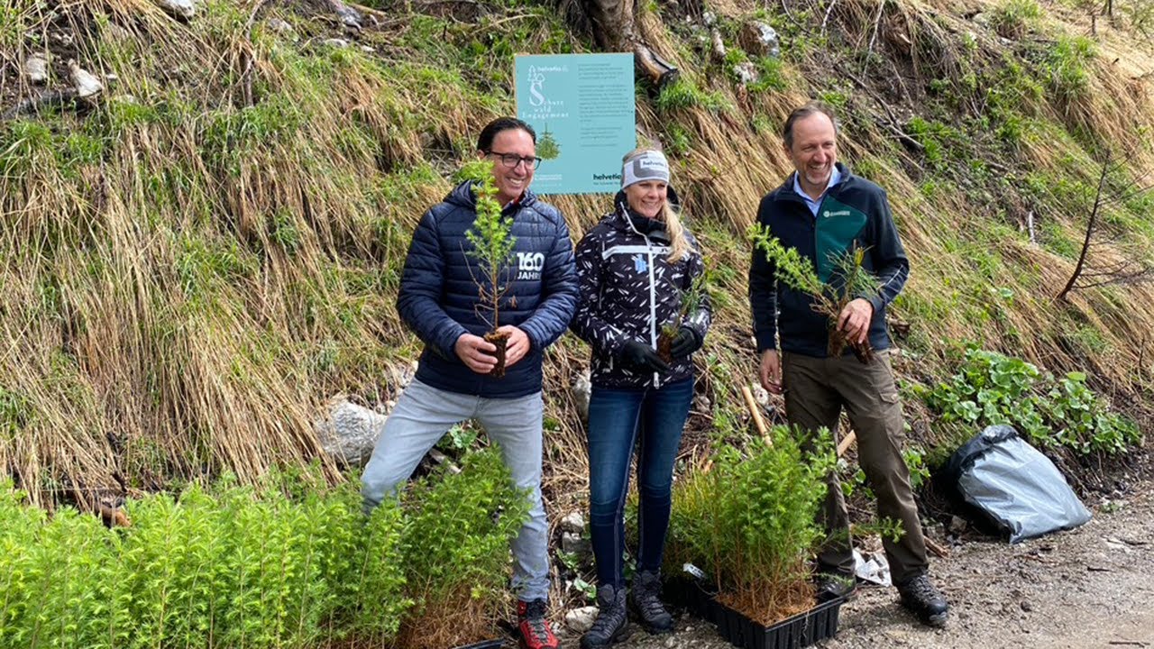 Nach verheerendem Lawinenabgang in Waidring/Tirol: Helvetia pflanzt 30.000 Bäume für den Schutzwald