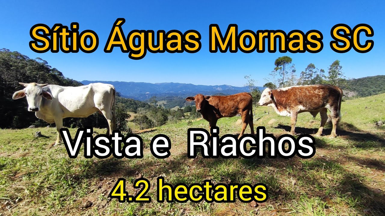 SÍTIO com  VISTA PANORÂMICA, RIACHO, Águas Mornas - SC