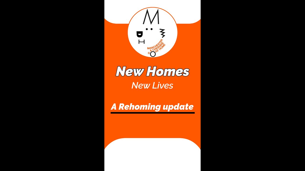 Manchester Dogs Home - A rehoming update