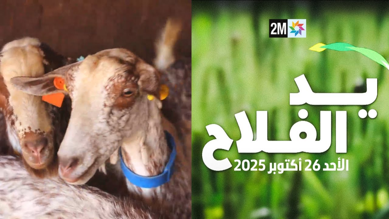 يد الفلاح : الأحد 26 أكتوبر 2025