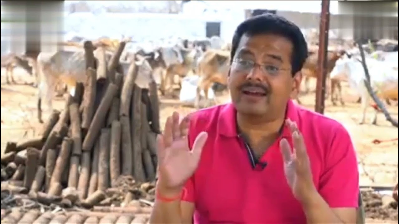 गो कास्ट /गोबर लकड़ी (cow dung logs) :  uses & benefits