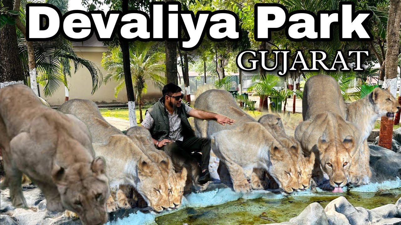 Devaliya Safari : The Best Place To Spot Wildlife In India | Complete Guide | Gir Lion National Park