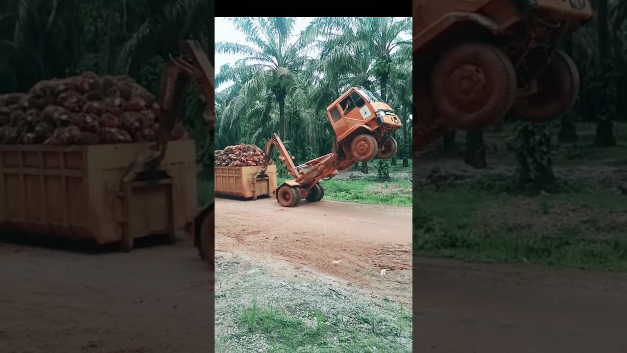 Truck Sawit Jamping 😱
