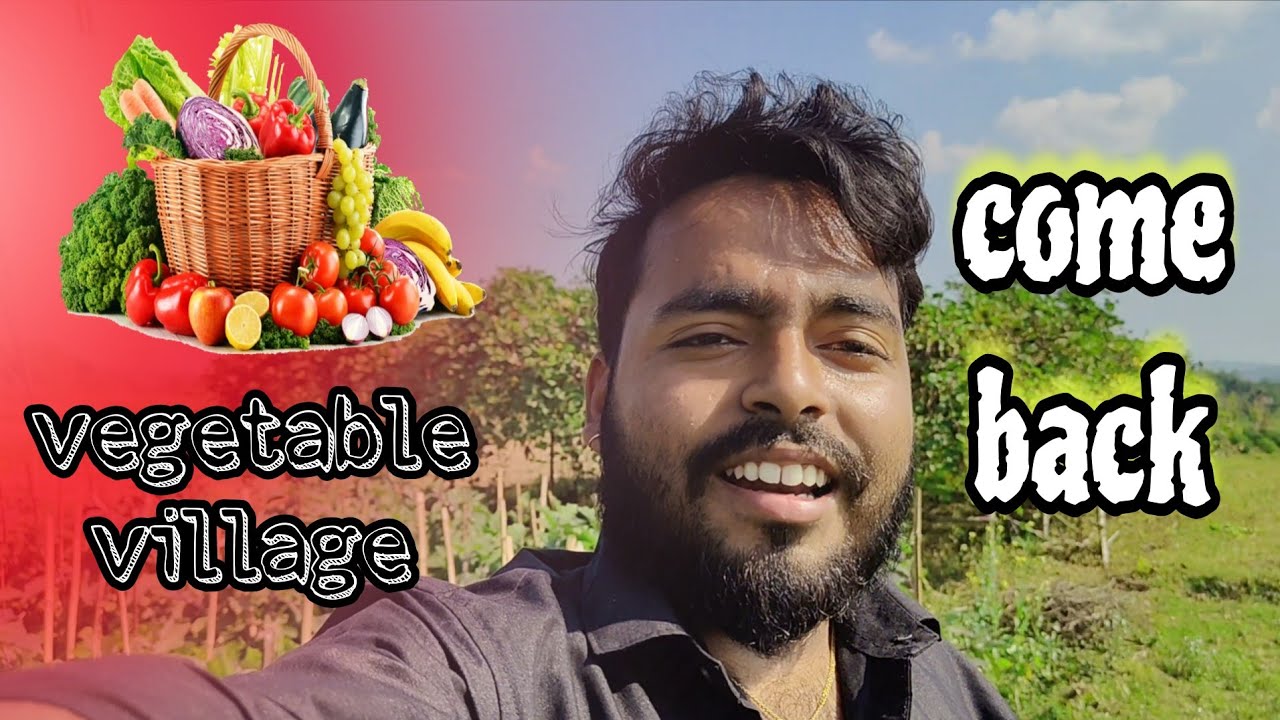 Vegetable village ||  Vlogs started🔙