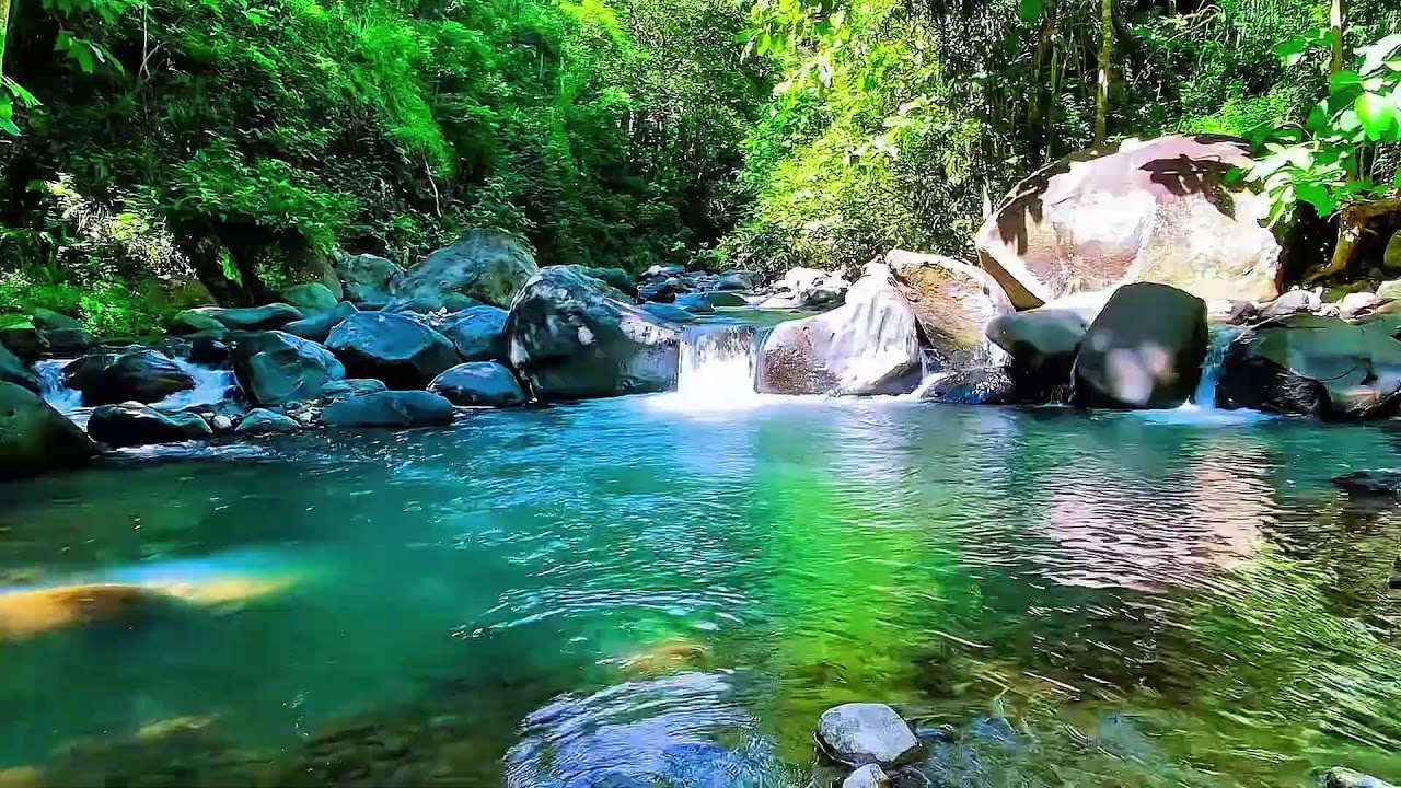 Soothing river ambience for relaxation