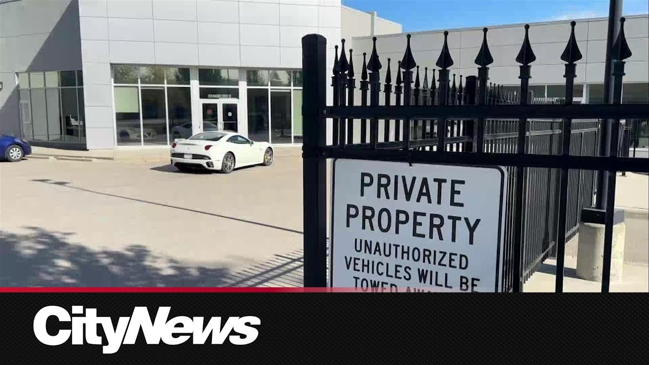 Some Calgarians wary of buying used cars