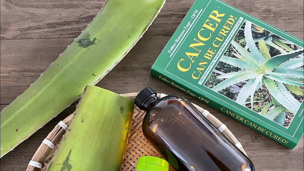 C&Ocirc;NG THỨC SINH TỐ NHA ĐAM ĐẨY L&Ugrave;I KHỐI U ( Alovera with honey recipe)