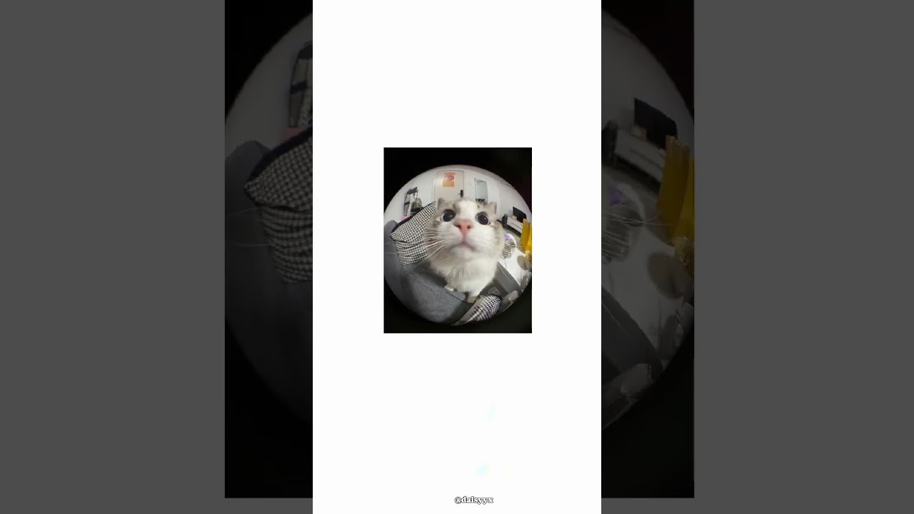 Profile Picture Ideas || #aesthetic  #advice #tips #fyp #for you #pfp