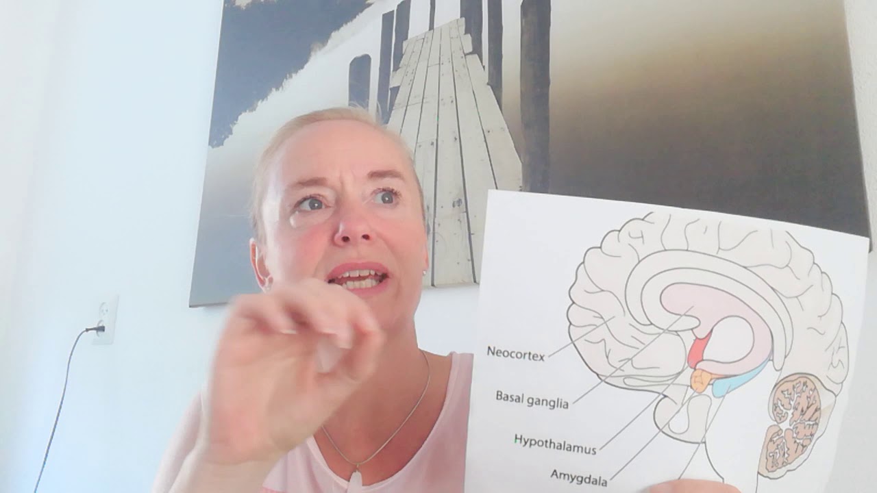 Waarom praten je stress, overspanning en burn-out probleem niet oplost en de oplossing die wel werkt