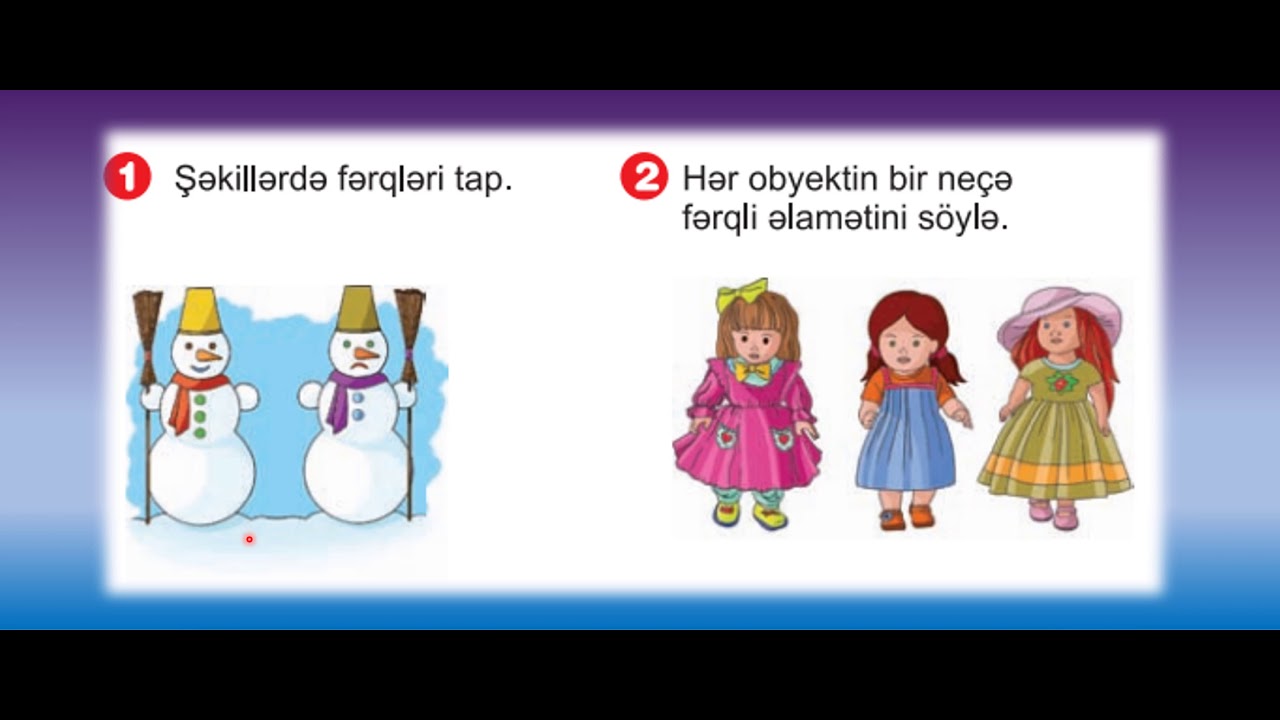 Dərs 4. Fərqləndirici əlamətlər (İnformatika 2-ci sinif )