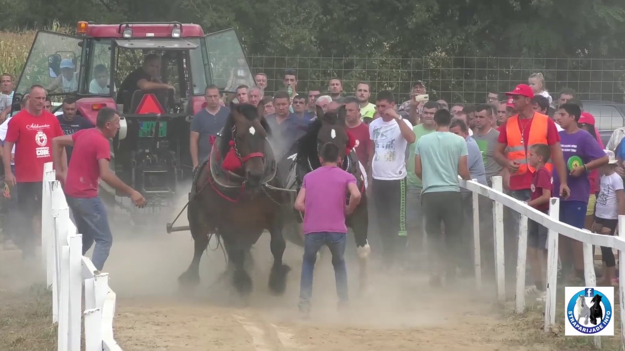 -Najava &scaron;traparijade u Mrati&scaron;iću 29.9.2019. kod Belu&scaron;evića i Vuletica-