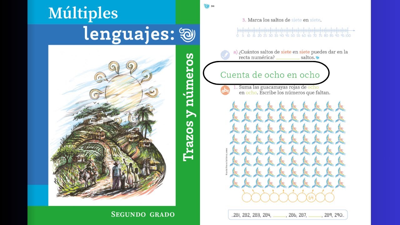 Múltiples lenguajes: trazos y números página 34 - 35 │Cuenta de ocho en ocho