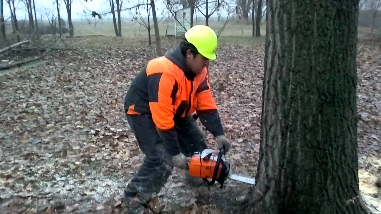 Stihl Ms 341 nyaras