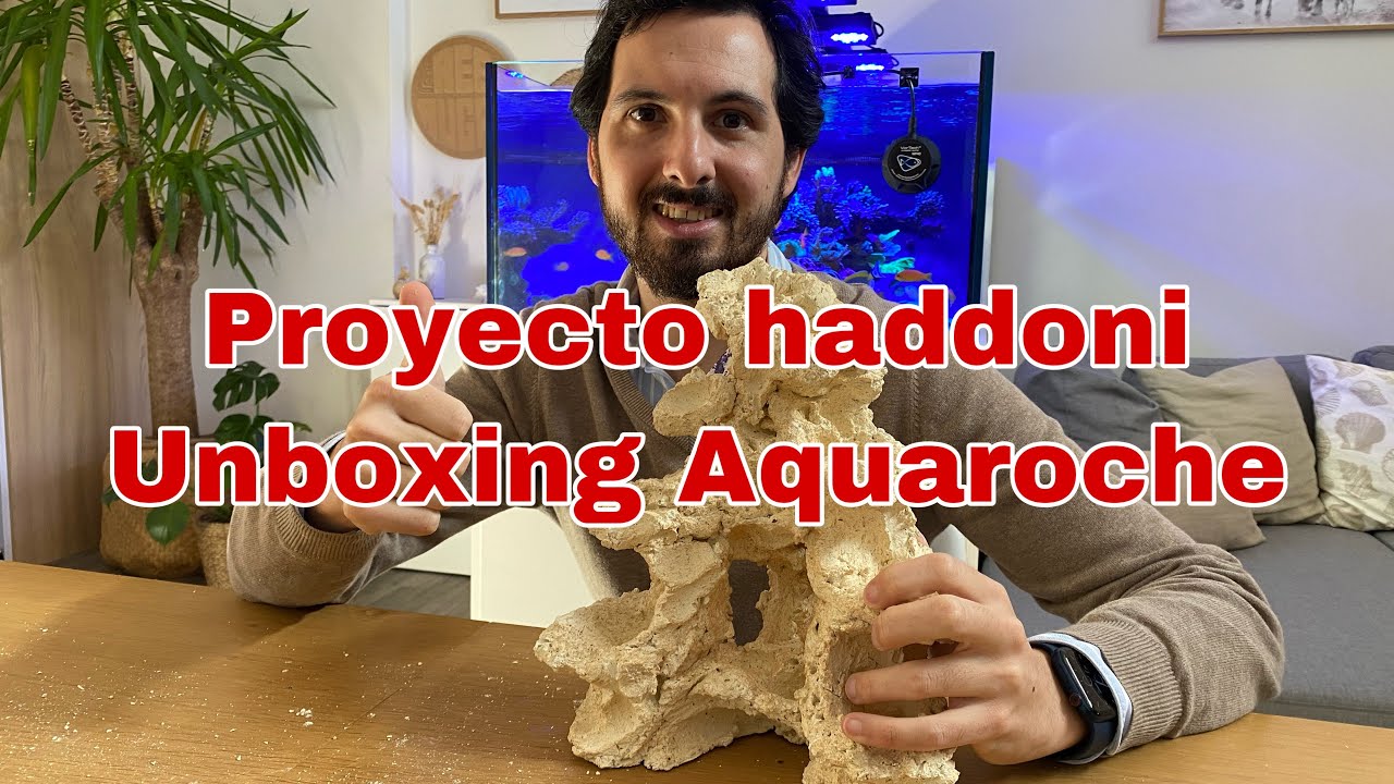 Proyecto haddoni - Unboxing Aquaroche