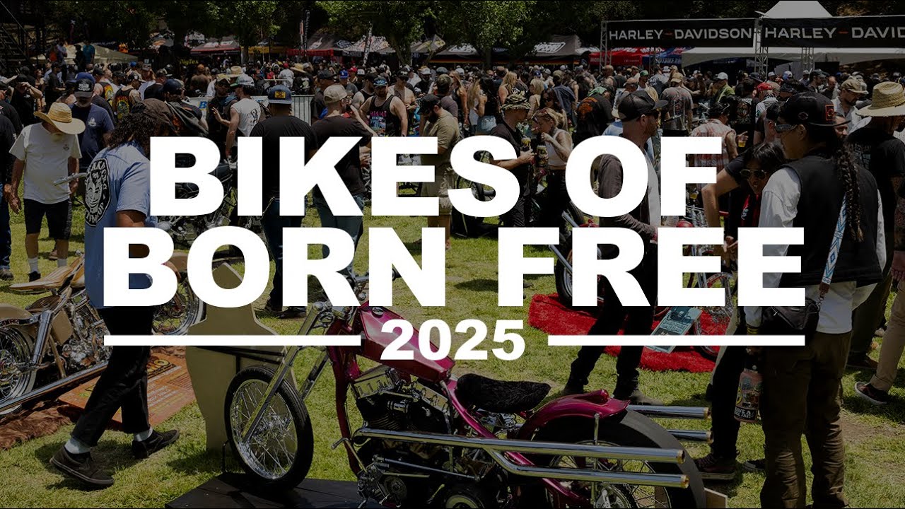 Bikes of Born Free - 2025