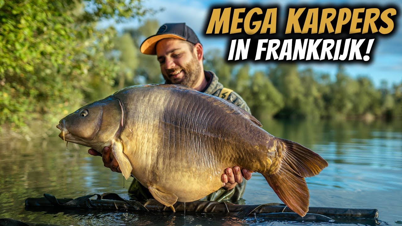 MEGA KARPERS IN FRANKRIJK - Een week vissen met de mannen van Carplevel