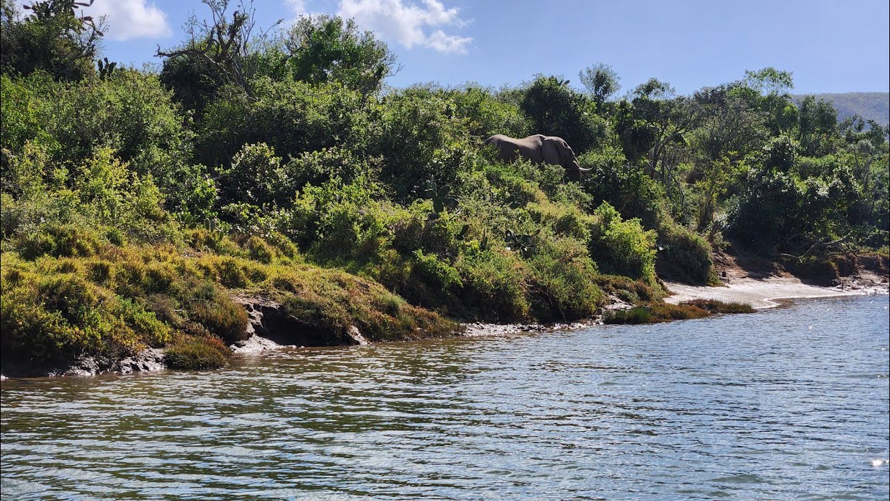 Fishing the Bushmans River, Eastern Cape, South Africa, February 2026