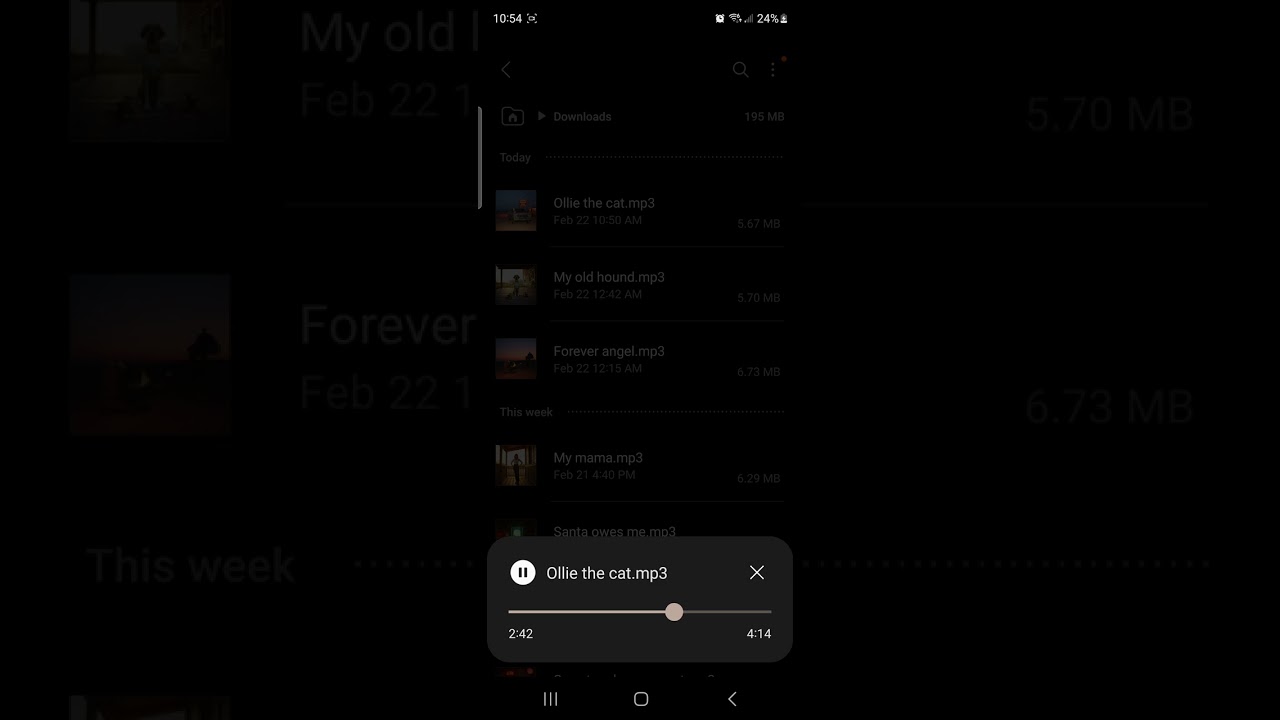 Ollie the cat (humor music)