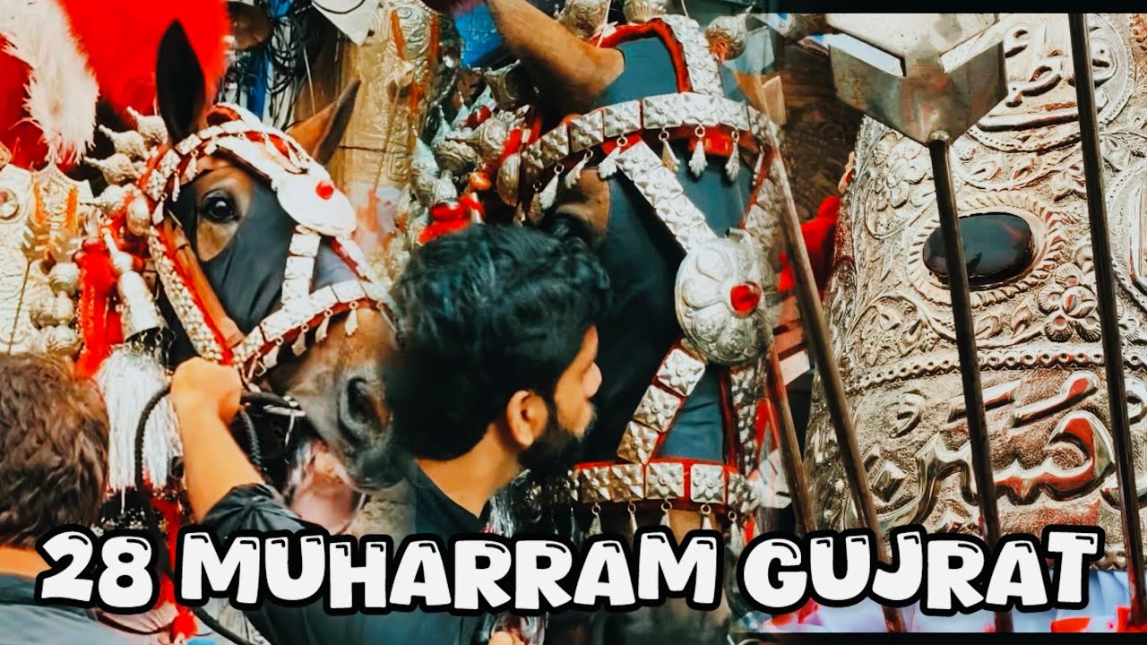 28 Muharram | Zuljanah Duldul Sarkar | Baramdgi 2024 | Gujrat City Pakistan #zuljanah